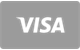 Visa card de plată acceptat la Winderland Casino